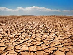 Image result for Dry Land Drawing