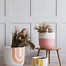 Image result for Cool Plant Pots