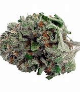 Image result for BC Kush Strain