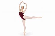 Image result for Cool Dance Leotards