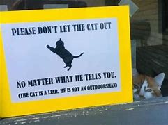 Image result for Clean Work Memes Funny Animals