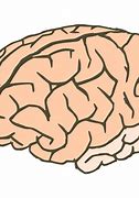 Image result for Data-Driven Brain Clip Art