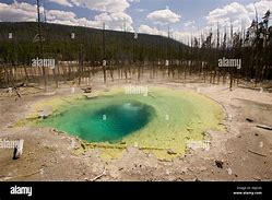 Image result for Cistern Spring