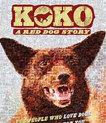 Image result for Koko Red Dog