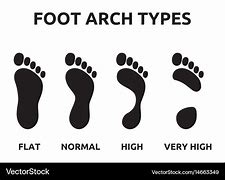 Image result for Foot Arch Images