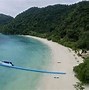 Image result for Snake Island Animals