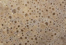 Image result for Yeast Cell Fermentation Alcohol