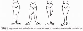 Image result for Knee Lateral Rotation