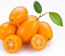 Image result for Tropical Asian Fruit Kumquat