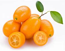 Image result for Green Kumquat