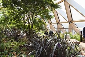 Image result for Crossrail Place Roof Garden Photos 1920X1080