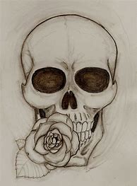 Image result for skull with roses painting