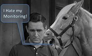 Image result for mister ed quotes