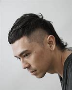 Image result for European Mullet Haircut