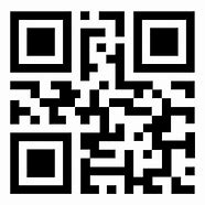 Image result for QR Code Bunt