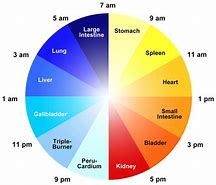 Image result for Qi Organ Cleanse Clock Cycle