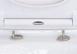 Image result for Quick Release Toilet Seat