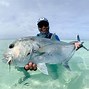 Image result for Giant Trevally Fly Fishing