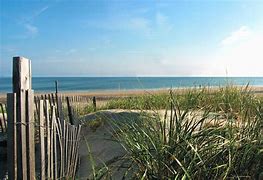 Image result for Cape Cod Beach