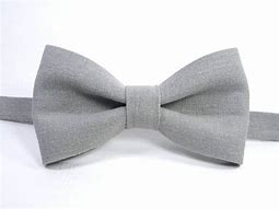 Image result for Grey Bow Tie