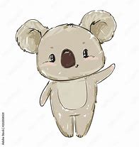 Image result for Beautiful Koala Bear