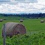 Image result for Louisiana-Pacific Dawson Creek BC