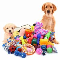 Image result for Dog Piggy Toy