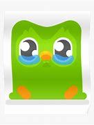 Image result for Sad Duolingo Owl