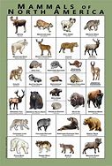 Image result for North American Mammals Habitat Map