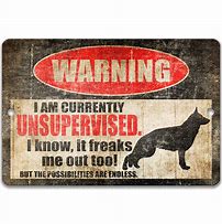 Image result for Funny German Shepherd