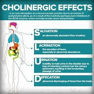 Image result for Dumbbells Anticholinergic