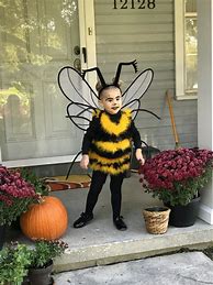 Image result for Boy in a Bee Costume