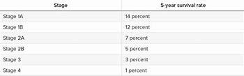 Image result for Pancreatic Cancer Recurrence Life Expectancy