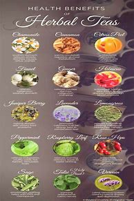 Image result for Herbal Tea Benefits