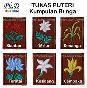 Image result for Bunga Serendipiti