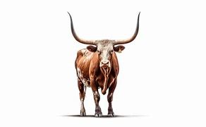 Image result for Bull Horns Wallpaper