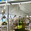 Image result for 20X20 Pole Tent