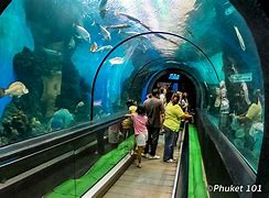 Image result for Aquarium Salon