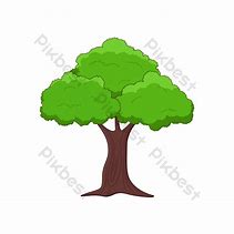 Image result for Pokok Cartoon