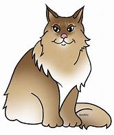 Image result for Maine Coon Cat Clip Art