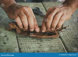 Image result for Cuban Cigar Rolling