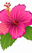 Image result for Purple Hibiscus Flower Clip Art