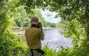 Image result for White Pines Nature Preserve