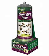 Image result for Stink Bug Catcher