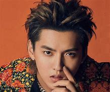 Image result for Kris Wu Album