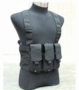 Image result for AWS M14 Chest Rig