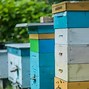 Image result for DIY Bee Hive