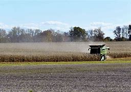 Image result for John Deere Corn Harvest