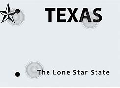 Image result for Texas State License Plate