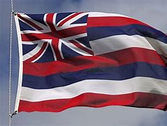 Image result for The Hawaiian Flag